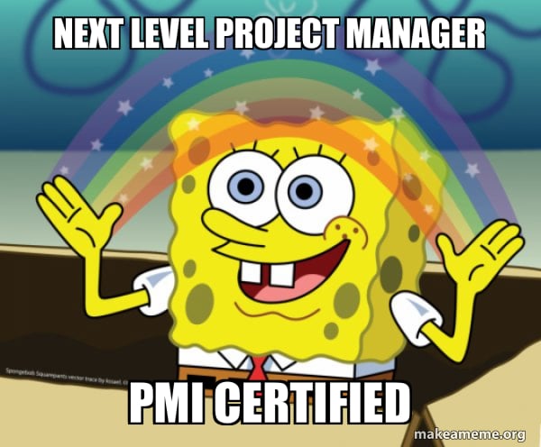 PMI certified project manager